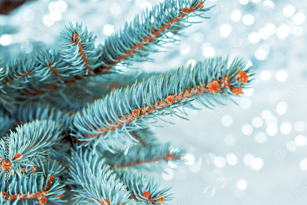 christmas tree light christmas tree light