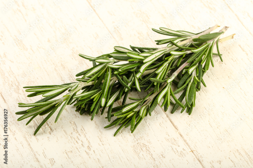 Rosemary branches Rosemary branches