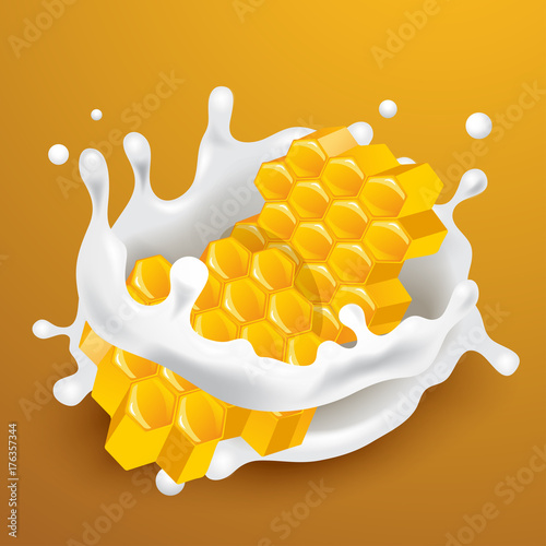 Milk Splash with ingredients : Vector Illustration