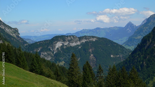 Swiss Hill
