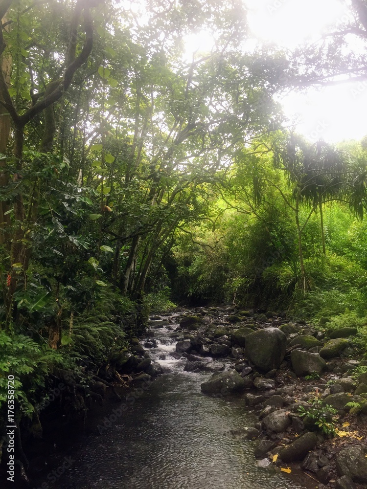 Obraz premium Hiking