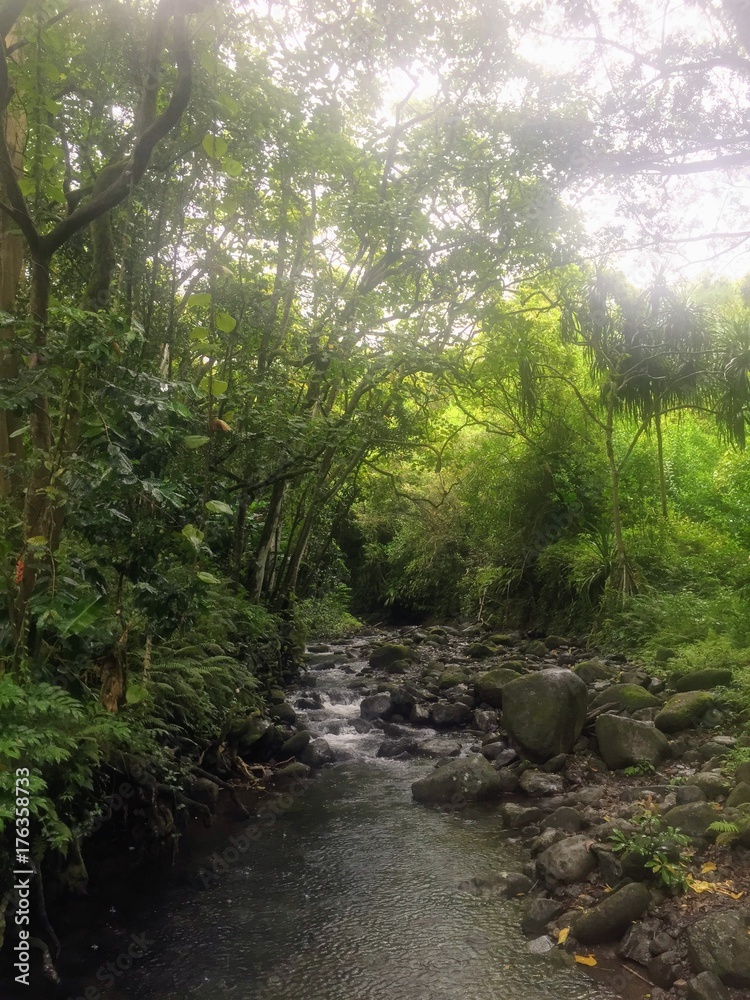 Obraz premium Wędrówki