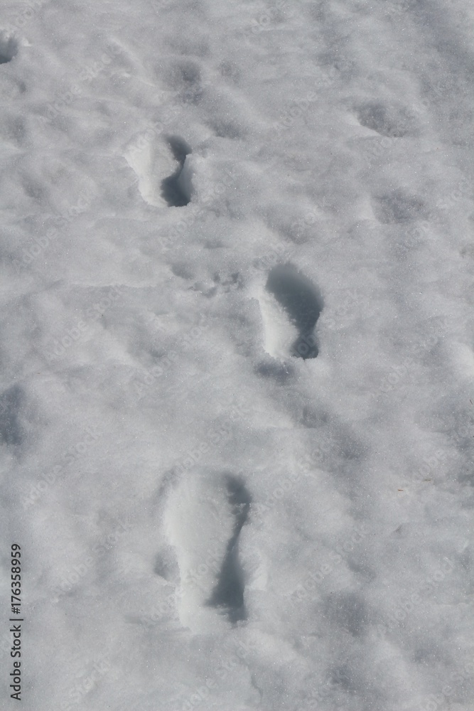 White snow texture background with foot prints White snow texture background with foot prints