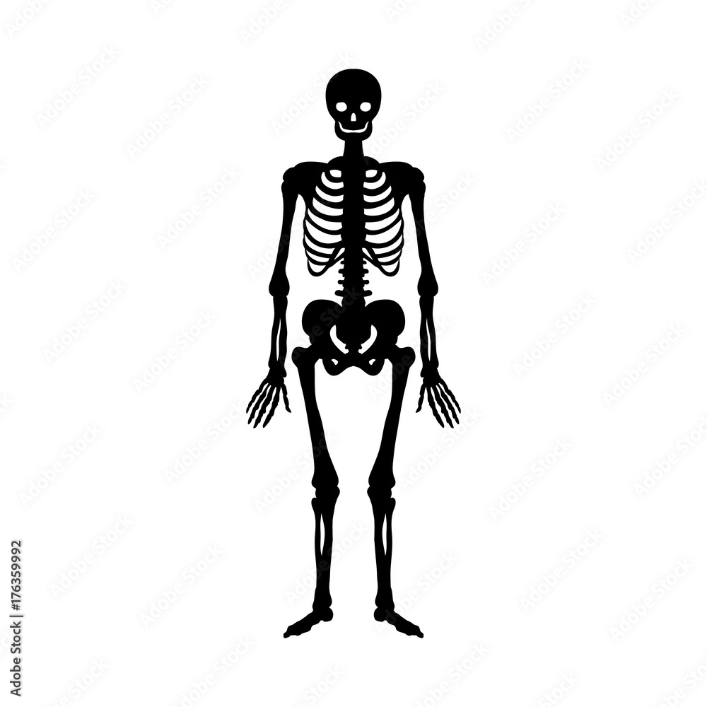 Skeleton silhouette ancient monster fantasy Skeleton silhouette ancient monster fantasy