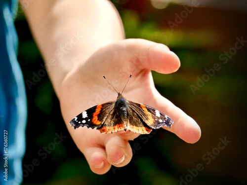 Schmetterling auf Kinderhand