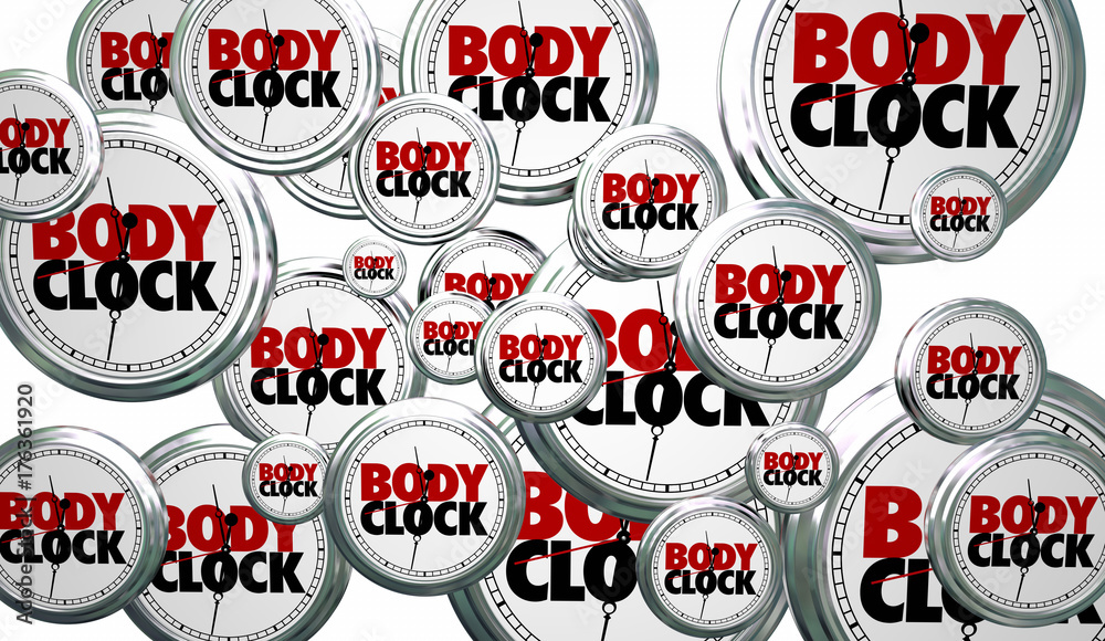 Body Clock Biological Time Countdown Flying Deadline 3d Illustration