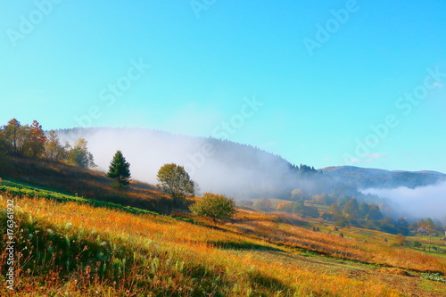 Morning mist in the Carpathians in the autumn.