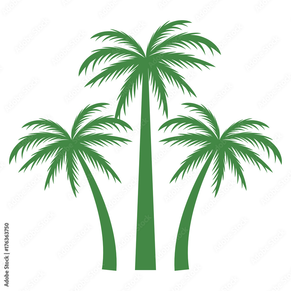 Fototapeta premium Tree palms nature icon vector illustratino graphic design
