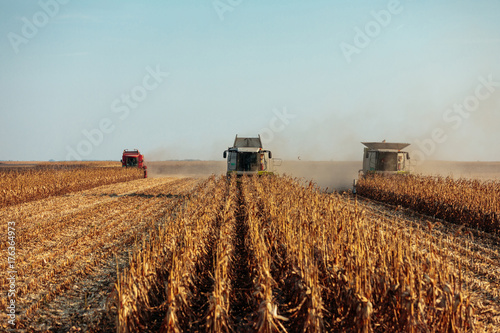 It's harvest time