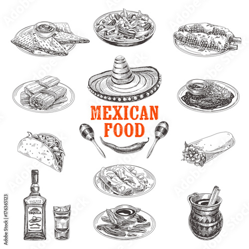 Vintage vector hand drawn mexican food sketch Illustration.