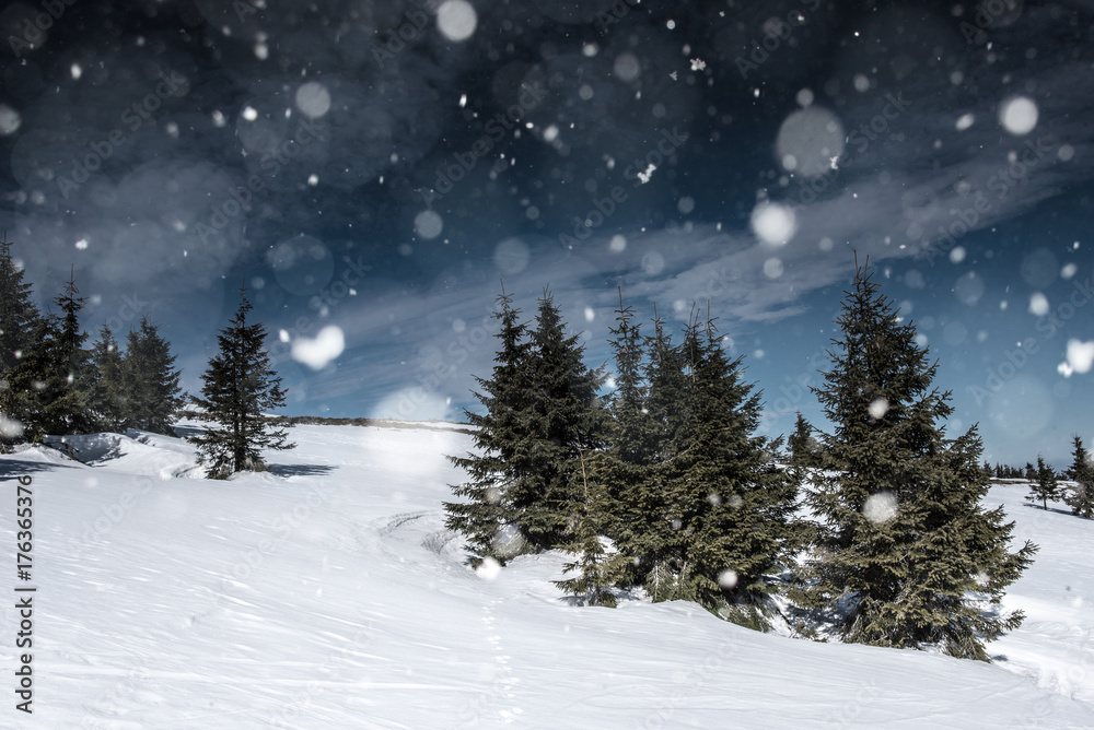 Christmas background with snowy landscape