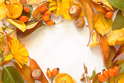 Circle frame with autumn leaves on white background. Fall