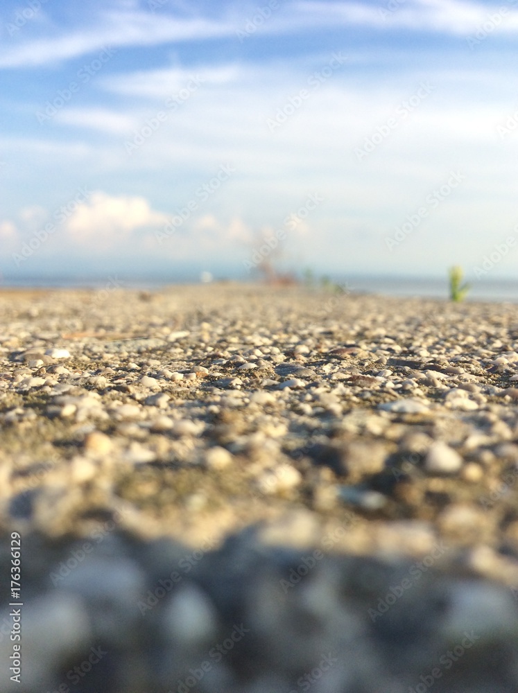 Seashore and blue sky with stones and plants Seashore and blue sky with stones and plants
