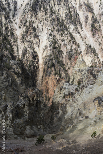 Yellowstone National Park & Artist Point
