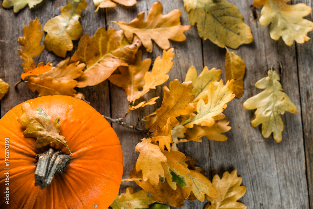 Thanksgiving pumpkin, autumn background with leaves on wooden table Thanksgiving pumpkin, autumn background with leaves on wooden table