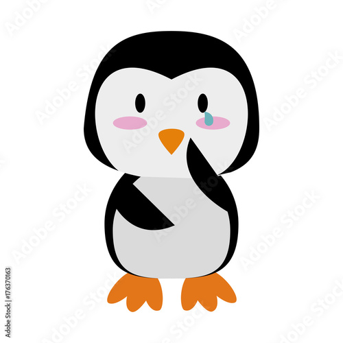 penguin crying cute animal cartoon icon image vector illustration design  © Jemastock