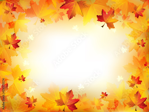 Elegant Autumn Frame Composed of Colorful Leaves on a Blurred Background