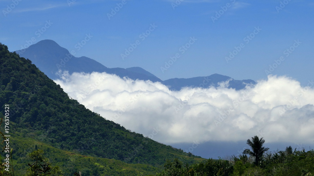 dicke Wolken steigen in  tropischen Bergen auf