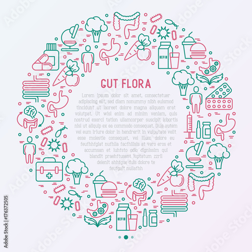 Gut flora concept in circle with thin line icons: gut, bacteria, obesity, stomach, infection, depression, medicine. Vector illustration for medical survey or report.