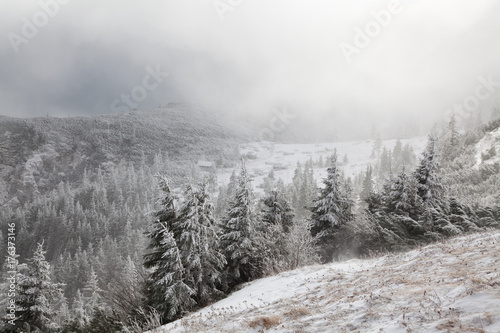 winter landscape with snowy fir trees in the mountains © Melinda Nagy