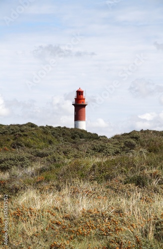 Rot wei  er Leuchtturm in bewachsenen D  nen in Nordfrankreich