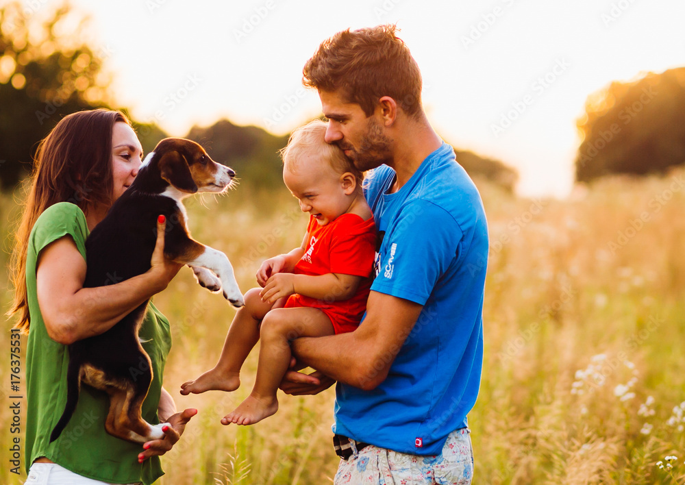 Mom shows dog to her son held by his dad Stock Photo | Adobe Stock