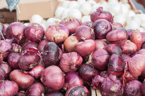 oignons rouge au marché photo