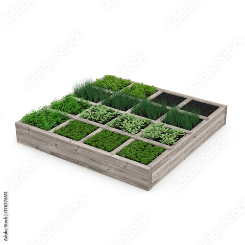 Wooden box with a young garden on white. 3D illustration