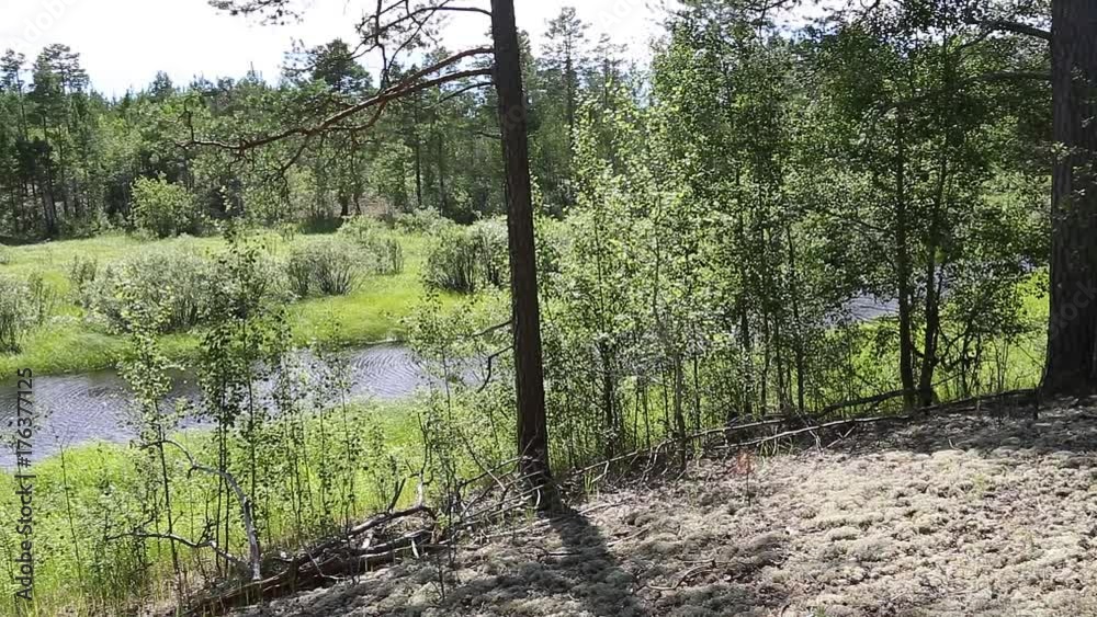 Panoramic view from right to left of a typical landscape for the Siberian taiga Panoramic view from right to left of a typical landscape for the Siberian taiga