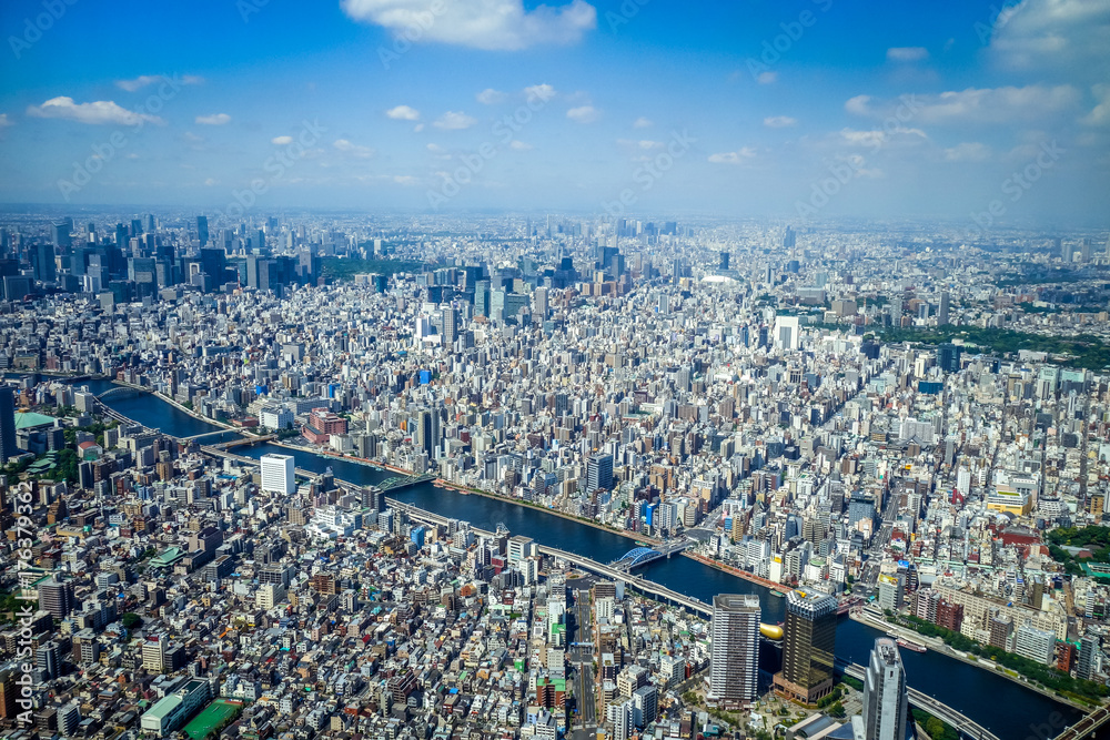 Obraz premium Tokyo city skyline aerial view, Japan