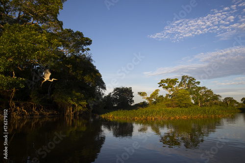 Flusslandschaft im Pantanal