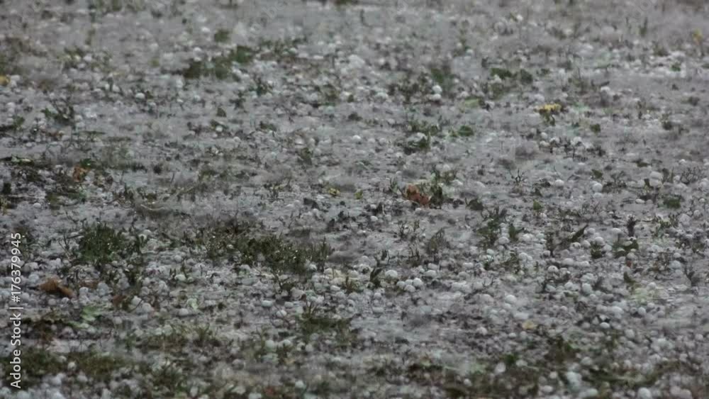 Climate, Thunderstorm and heavy rain at home and garden Climate, Thunderstorm and heavy rain at home and garden