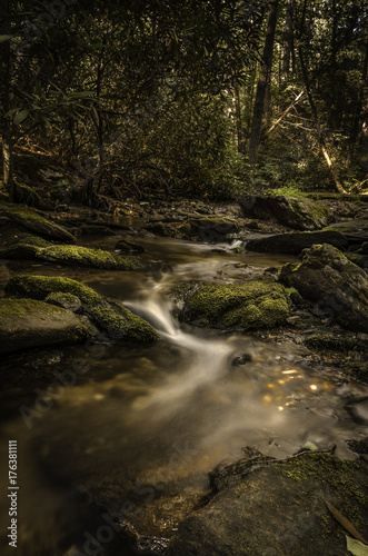Mountain Stream