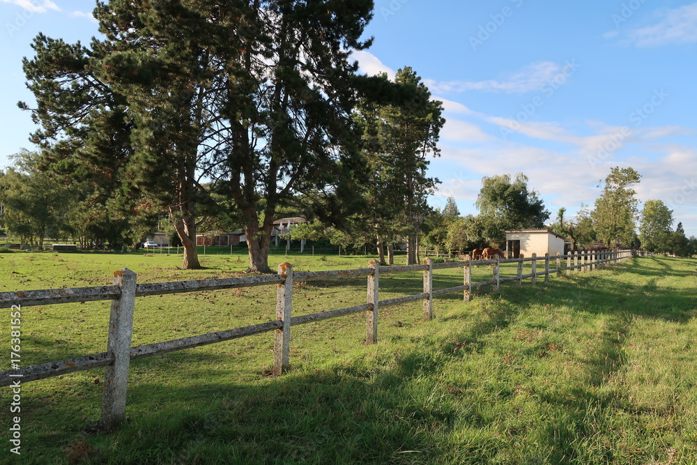 French pasture