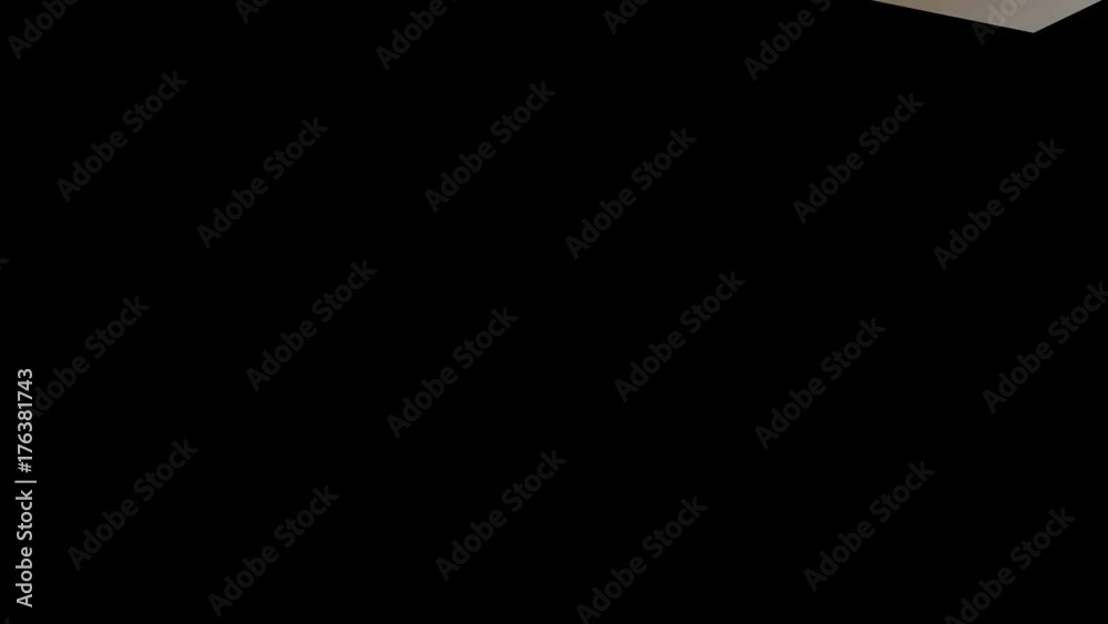 Black Friday Sale - looped Animation on black background. Online shopping banner. Black Friday Sale - looped Animation on black background. Online shopping banner.
