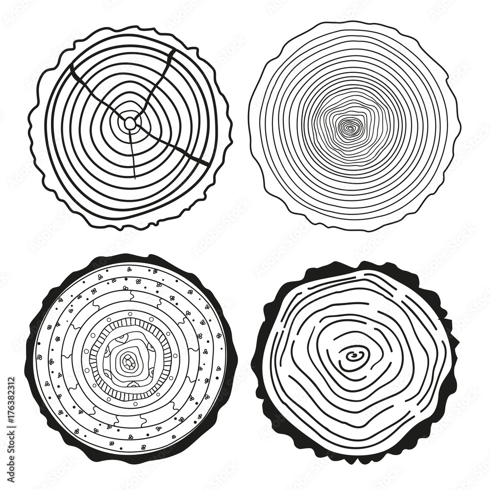 Tree rings. Set of cross section of the tree.Set of tree rings on ...