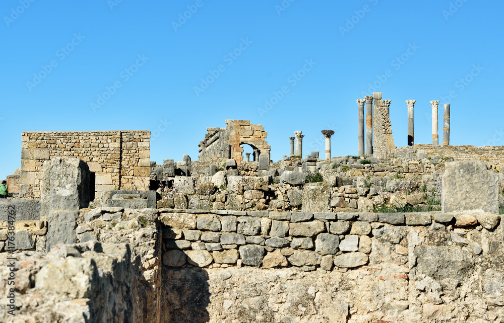 Roman ruins, ancient Roman city of Volubilis. Morocco