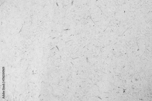 Mulberry paper with dry flower and leaf texture background,black and white tone