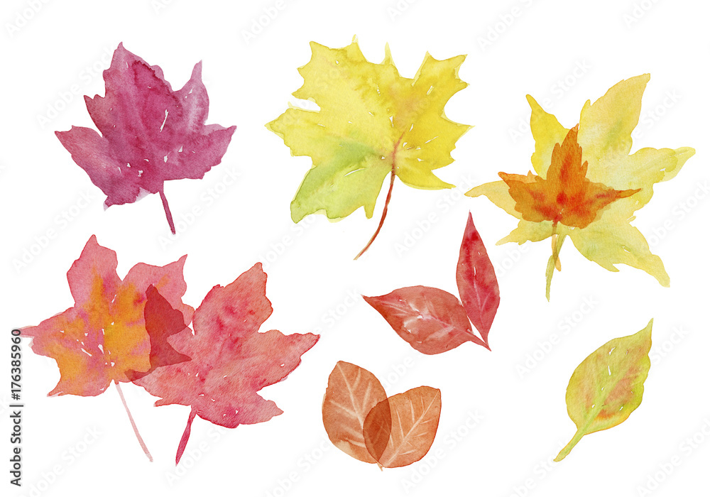 紅葉 いろいろな秋の葉っぱ 水彩イラスト Stock Illustration Adobe Stock