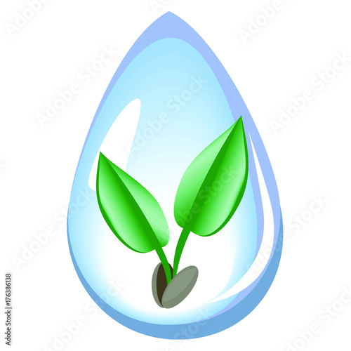 plant pet water, watering plants, comes alive, the life force in water