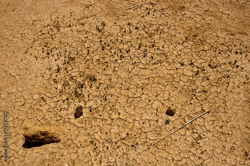 Cracks in the dry and arid desert land