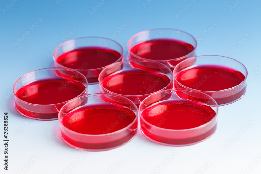 Blood for testing in laboratory. general blood test Blood for testing in laboratory. general blood test