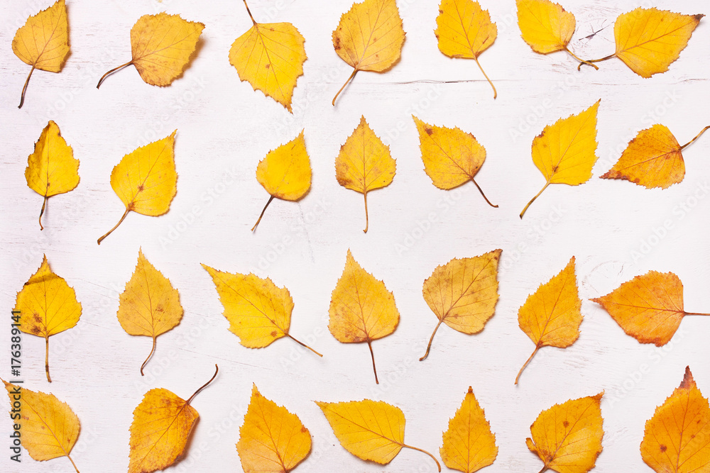 Obraz premium abstract yellow Autumn leaves in a row.