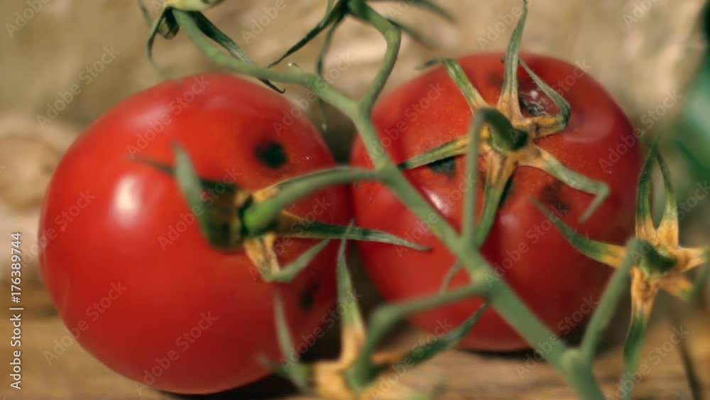 Rotten Tomatoes on Wooden Background Rotten Tomatoes on Wooden Background