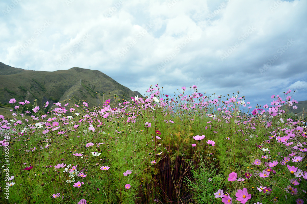 Kangding Xinduqiao scenery, G318 National Road