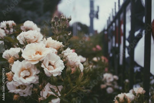 Photos Processed with VSCO with p5 preset