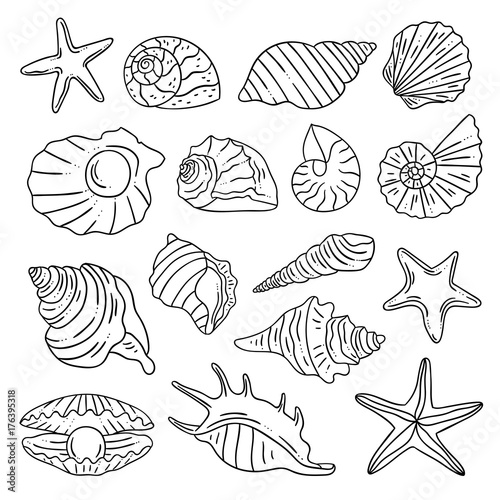 Sea shells, starfish, perl hand drawn outline vector illustration