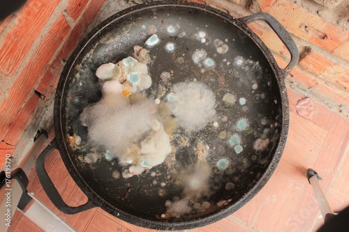 Rotten and moldy food closeup