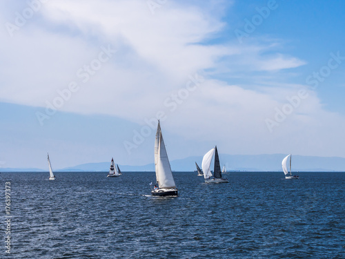 sailing race at sea