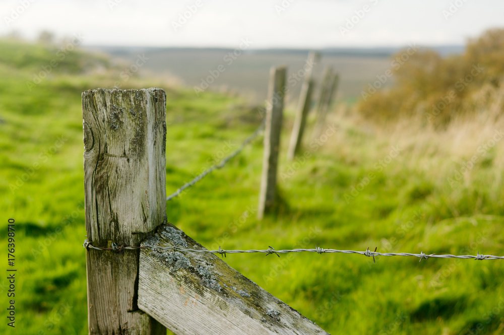 Barbed wire fence Barbed wire fence